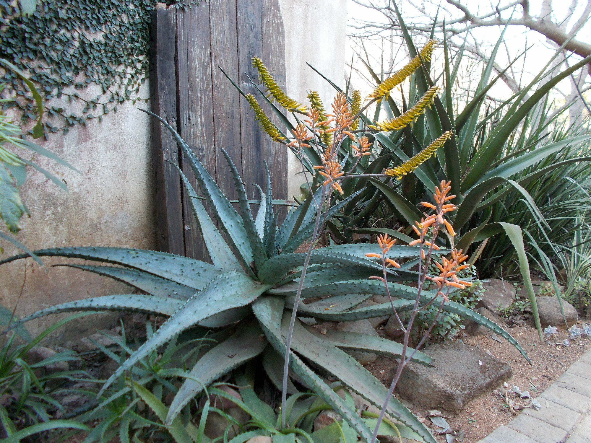 Sabie Self Catering Apartments Luaran gambar